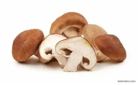 Natural Shiitake Extract (Organic)