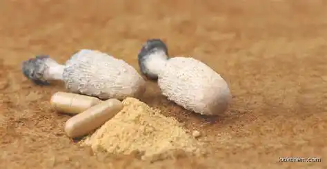 Natural Coprinus Comatus Extrac