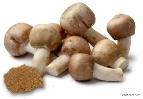 Natural Coprinus Comatus Extrac
