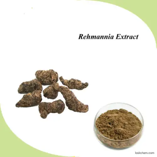 Rehmannia Extract