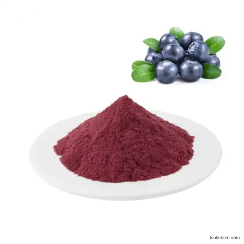 Blueberry Extract Powder Anthocyanin