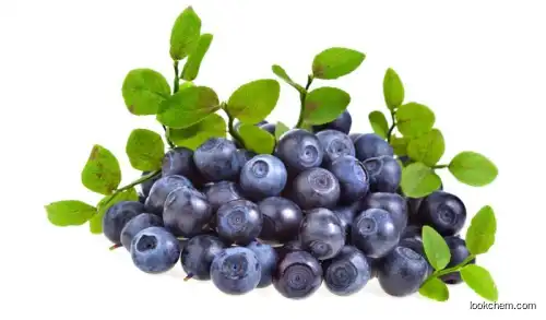 Blueberry Extract Powder Anthocyanin