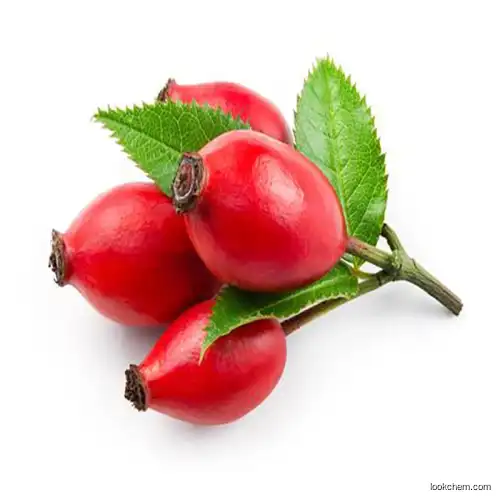 Rosehip Extract
