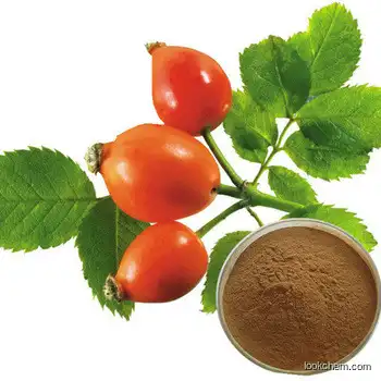 Rosehip Extract