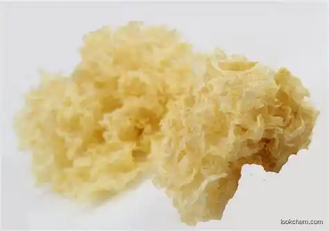 Tremella Fuciformis Extract Polysaccharides 20%