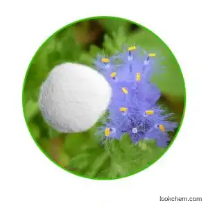 95% Ecdysterone