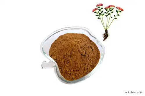 Rhodiola Rosea Extract Rosavins 80%