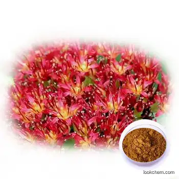 Rhodiola Rosea Extract Rosavins 80%