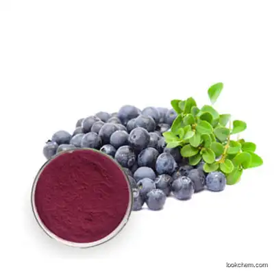 Blueberry Extract Anthocyanidin 25%