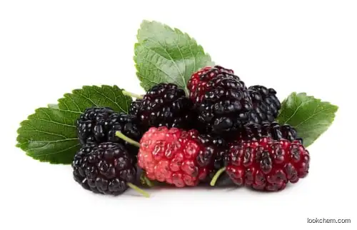 Natural  Mulberry Fruit Extract Anthocyanidin 25%