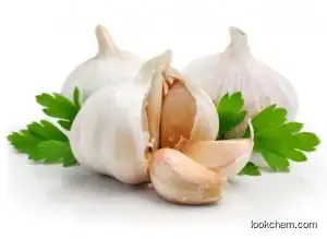 Garlic Extract CAS No.556-27-4