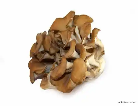 Natural Organic Maitake Extract CAS NO.37339-90-5