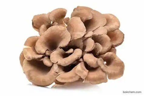 Natural Organic Maitake Extract CAS NO.37339-90-5