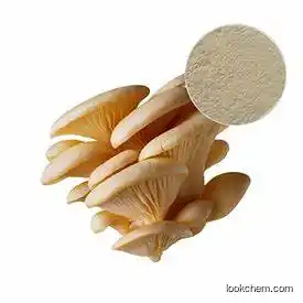 Natural Organic Oyster Mushroom Extract