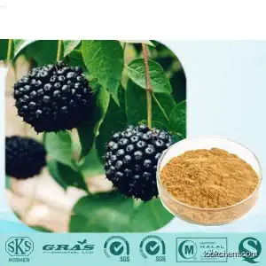 Natural Siberian Ginseng Extract