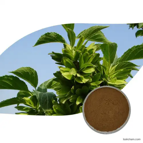 Natural Eucommia Extract