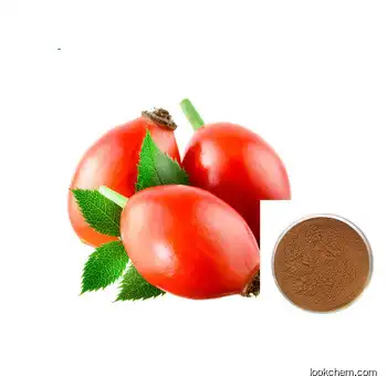 Natural Organic Rosehip Extract