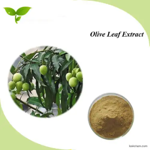 Organic Olive Extract