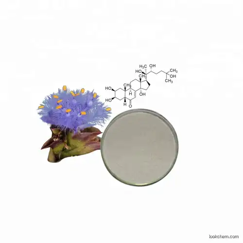 pure natural  ecdysterone/ecdysone