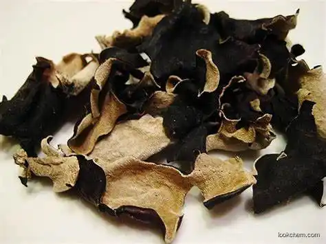 Black Fungus Extract powder