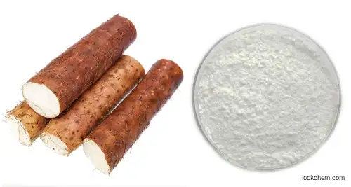 Wild Yam Extract Powder