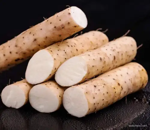 Wild Yam Extract Powder