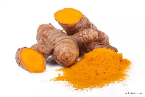 Turmeric Extract Powder