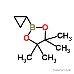 Cyclopropylboronic acid pinacol ester         126689-01-8