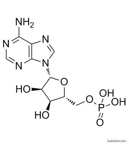 Adenosine 5'-monophosphate                61-19-8