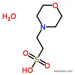 2-(N-Morpholino)ethanesulfonic acid monohydrate 145224-94-8