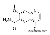 4-chloro-7-methoxyquinoline-6-carboxamide in stock CAS NO.417721-36-9