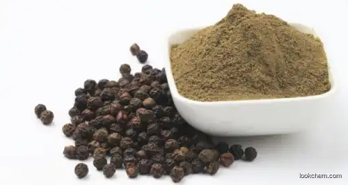Black Pepper Extract piperine powder 50%-99%