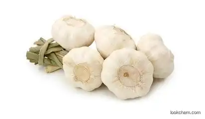 Deodorization garlic powder
