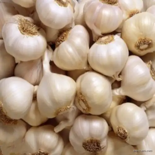 100% Natural Garlic Extract Allin1%-99% Allicin1%-3% Plant Extract