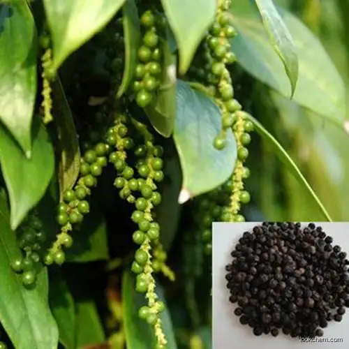 Black Pepper Extract Piperine 50%-99% Plant Extract