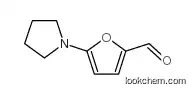 5-pyrrolidin-1-ylfuran-2-carbaldehyde            84966-28-9