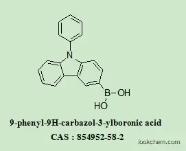 Competitive manufacture and R&D team of OLED Intermediates 9-phenyl-9H-carbazol-3-ylboronic acid  854952-58-2