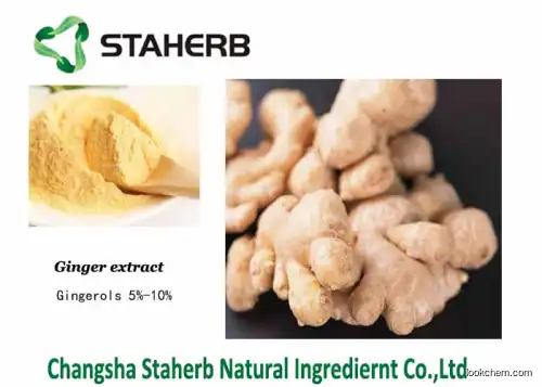 Ginger Extract,Ginger root extract,Gingerols