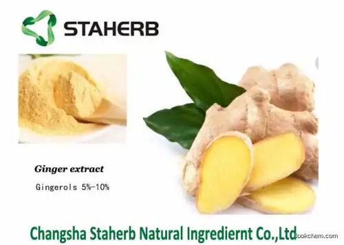 Ginger Extract,Ginger root extract,Gingerols