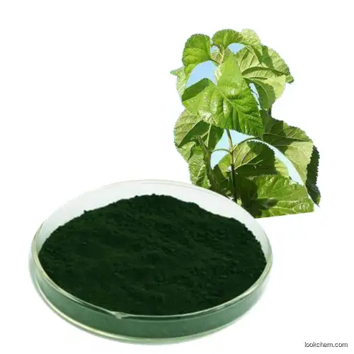 Mulberry extract,Sodium Copper Chlorophyllin,chlorophyl