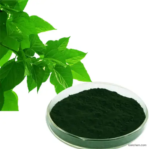 Mulberry extract,Sodium Copper Chlorophyllin,chlorophyl