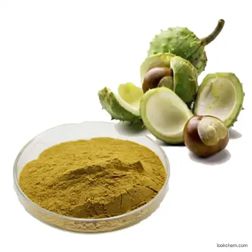 Horse chestnut extract,Aescin powder,Horse chestnut seed extract