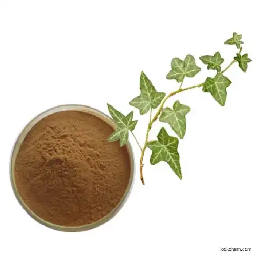 Hot sale Hederacoside C,Hederagenin,Hedera helix extract