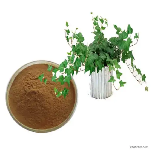 Hot sale Hederacoside C,Hederagenin,Hedera helix extract