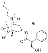 Scopolamine butylbromideCAS NO.: 149-64-4
