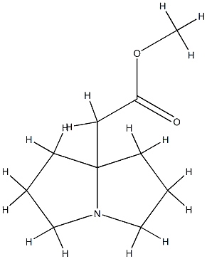 1H-Pyrrolizine-7a(5H)-acetic acid, tetrahydro-, methyl esterCAS NO.: 78449-76-0