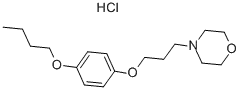 Pramoxine hydrochlorideCAS NO.: 637-58-1