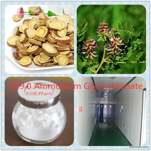 High Purity EP11.0  bulk drug Ammonium  Glycyrrhizate in China