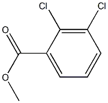 Benzoic acid,2,3-dichloro-, methyl esterCAS NO.: 2905-54-6