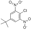 2-Chloro-5-(1,1-dimethylethyl)-1,3-dinitrobenzeneCAS NO.: 2213-81-2